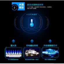 Haier/海尔 燃气热水器 JSQ24-12WT5(12T)