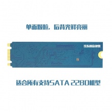 西部数据500GM.2硬盘