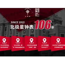 北极星20英寸挂表